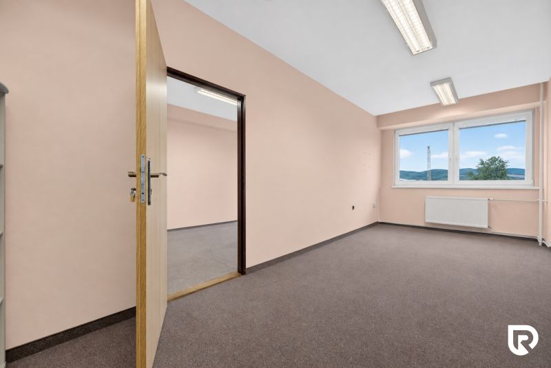 Büros mit Aussicht, Teppich, pastellfarbene Wände, Beleuchtung, Fenster, Heizkörper.