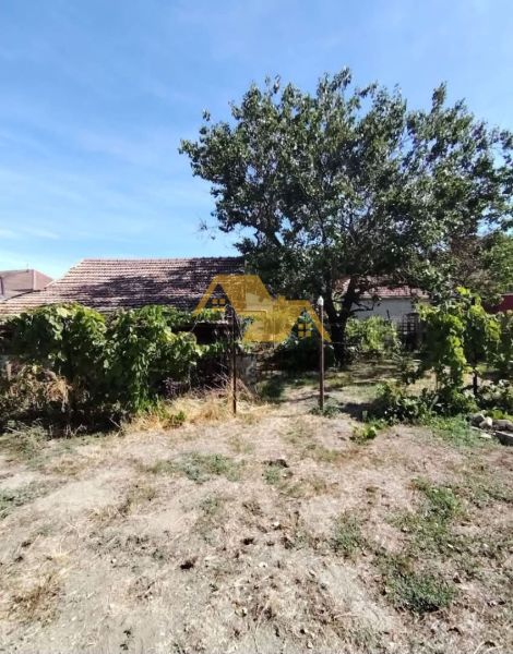 Garten bei einem Einfamilienhaus in der Tvrdošovce-Straße in Tvrdošovce mit Obstbäumen.