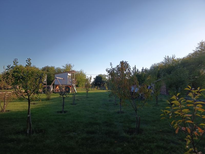 Rasen mit Bäumen in den Gärten auf der Tatranská 201, Zlaté Moravce.
