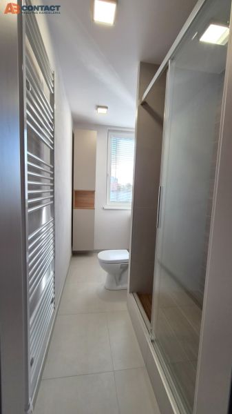 Badezimmer mit Dusche, Toilette und modernem Heizkörper in einer Einzimmerwohnung.