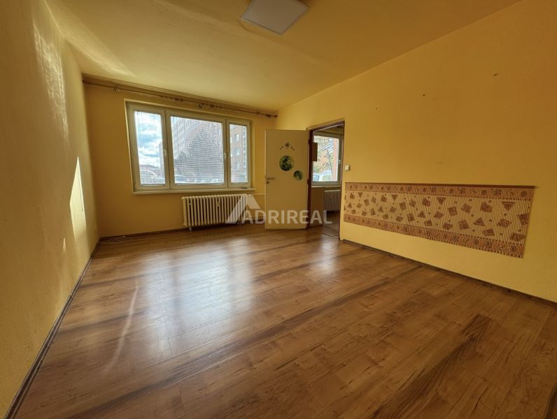Ein Zimmer mit Holzboden in einer Einzimmerwohnung und gelben Wänden.