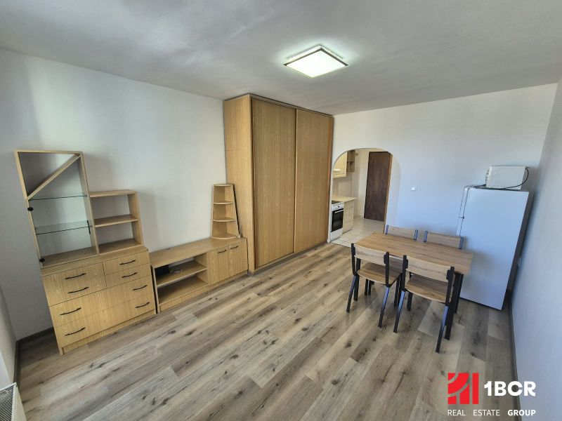 Einzimmerwohnung mit Holzboden, Möbeln, Esstisch und Kochnische.