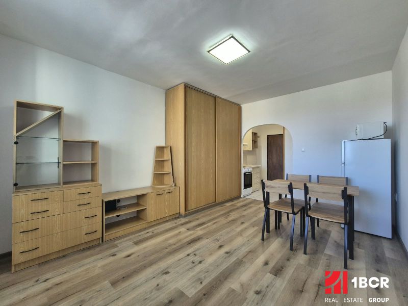 Einzimmerwohnung mit Holzboden, Möbeln, Esstisch und Einbauschrank.