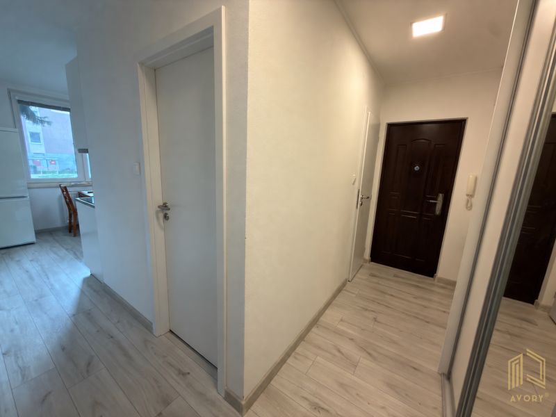 Ein heller Flur in einer 2-Zimmer-Wohnung mit einem Boden in Holzoptik.