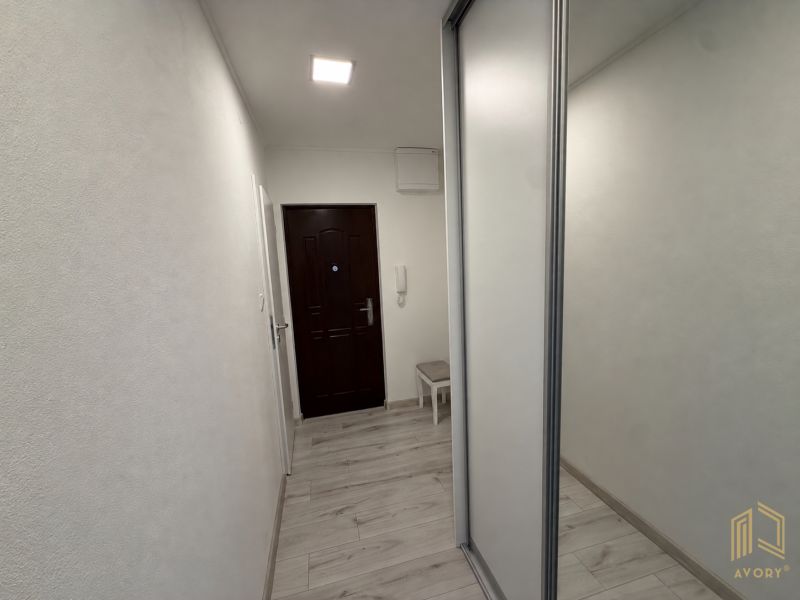 Der Flur in einer 2-Zimmer-Wohnung mit einem Boden in Holzoptik und einem Spiegelschrank.