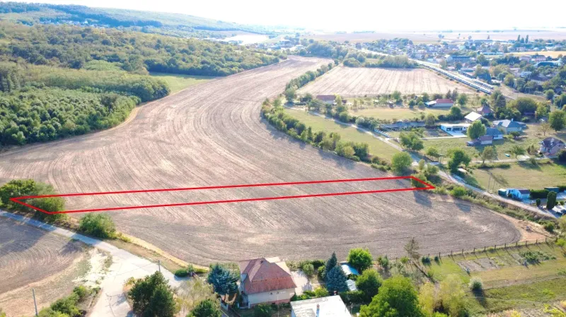 Landwirtschaftliche und forstwirtschaftliche Flächen in Podhájska, umgeben von Bäumen und einer Straße.