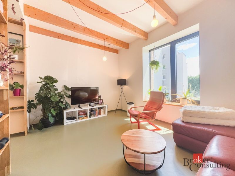 Wohnzimmer in einer 3-Zimmer-Wohnung mit Sofa, Sessel und Zimmerpflanzen.