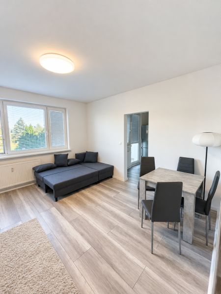 Wohnzimmer in einer Zweizimmerwohnung mit Sofa, Esstisch und Holzboden.