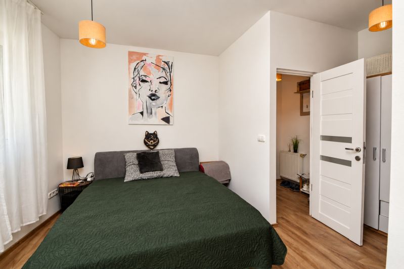 Schlafzimmer in einer Einzimmerwohnung mit einem Bild, einem grauen Sofa und einem Boden in Holzoptik.