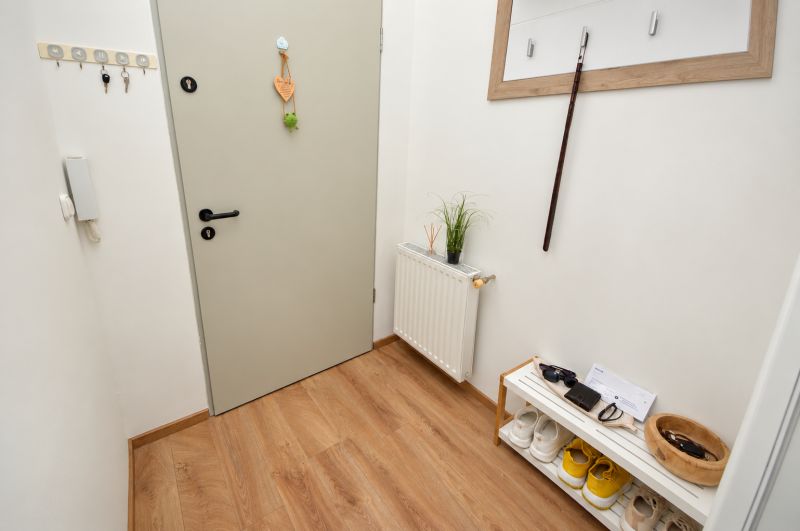 Eingangsbereich in einer Einzimmerwohnung mit Holzboden und Stauraum.
