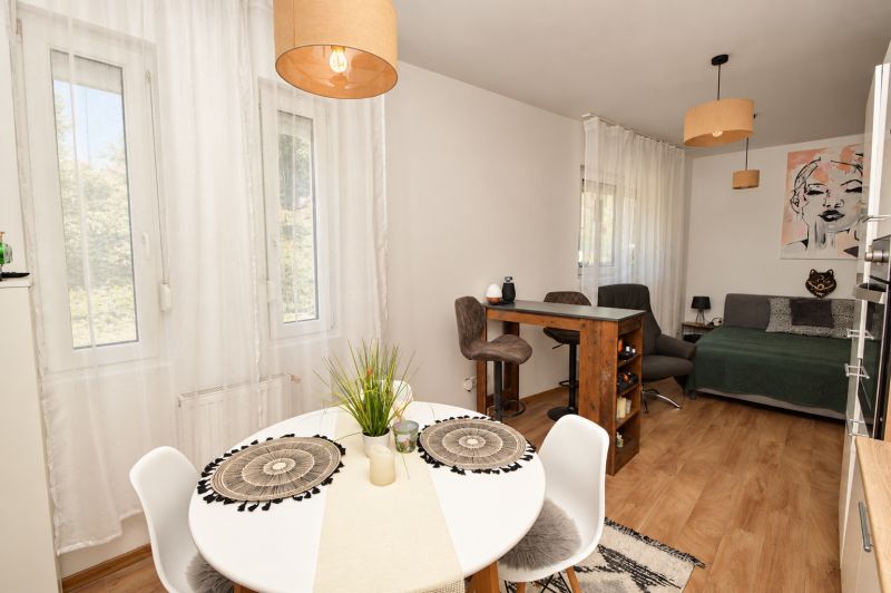 Innenraum einer Einzimmerwohnung mit Holzboden, Esstisch und Sofa.