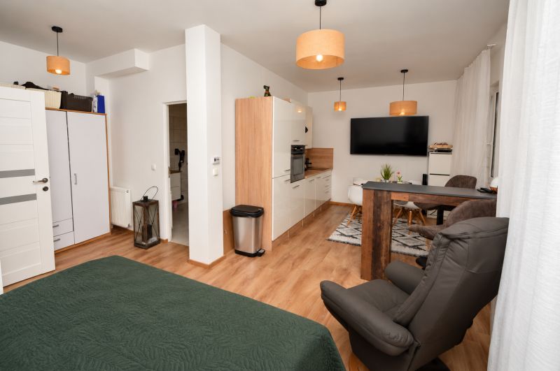 1-Zimmer-Wohnung mit Holzboden, Küchenzeile und Essbereich.
