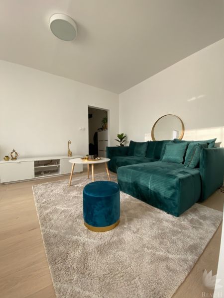 Wohnzimmer in einer 3-Zimmer-Wohnung mit einem dunkelgrünen Sofa und einem Tisch auf einem hellen Teppich.