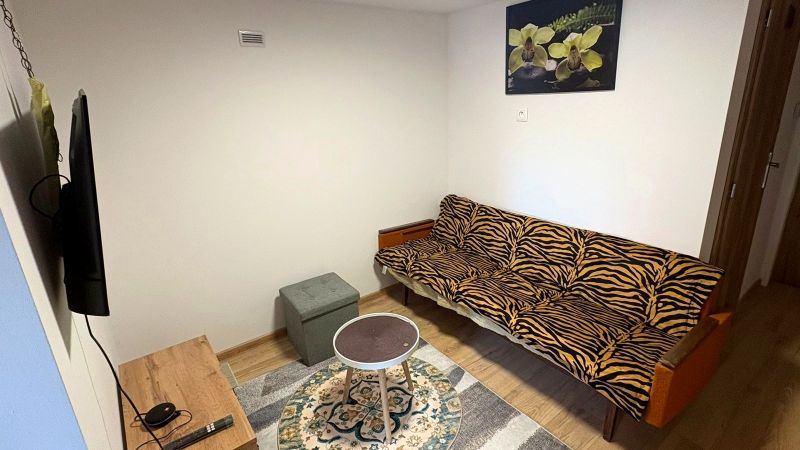 Ein Zimmer in einem Einfamilienhaus mit einem Sofa mit Tiermuster und einem Boden in Holzoptik.