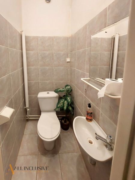 Badezimmer in einer 2-Zimmer-Wohnung mit Fliesen, Waschbecken, Toilette und dekorativer Pflanze.