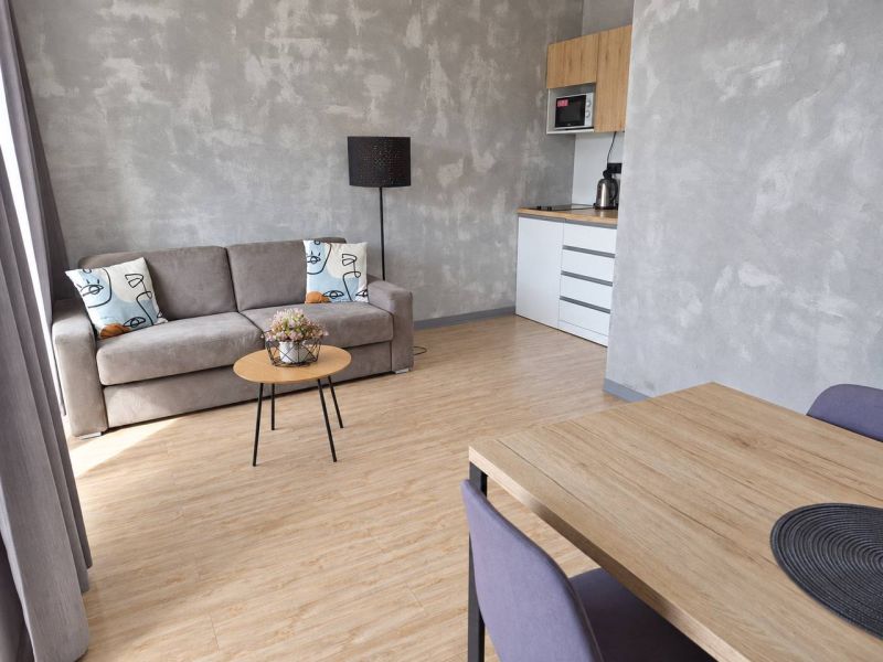 Minimalistisches Wohnzimmer in einer Zweizimmerwohnung mit Holzboden und grauem Sofa.