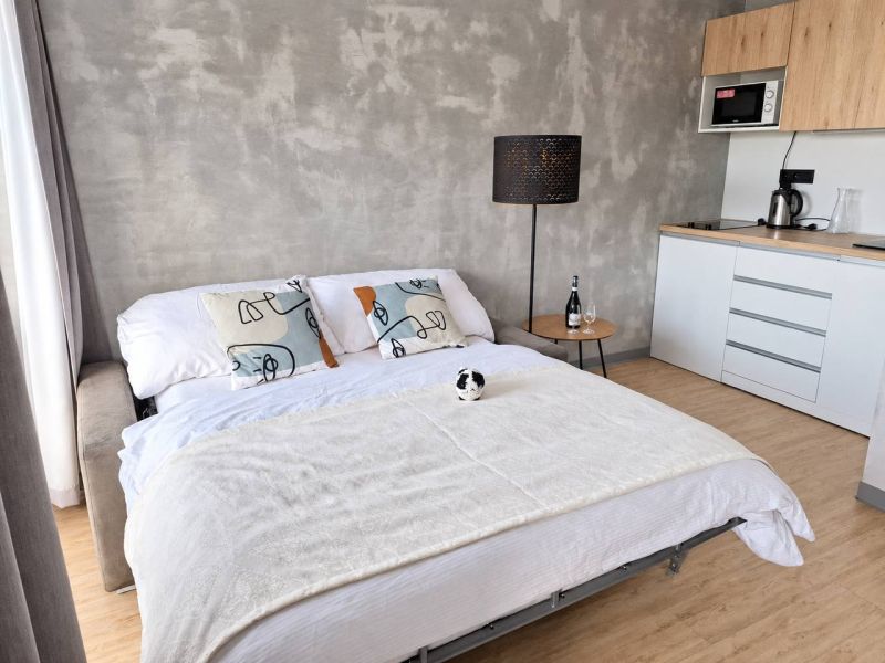 2-Zimmer-Wohnung mit einem Sofa, das zu einem Bett ausgezogen werden kann, einer Küchenzeile und einem Boden in Holzoptik.
