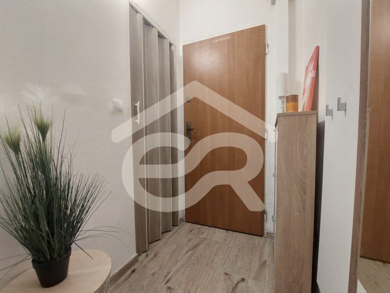 Eingangsbereich eines Einzimmerapartments mit Holzboden, einer grünen Pflanze und einem Eckschrank.