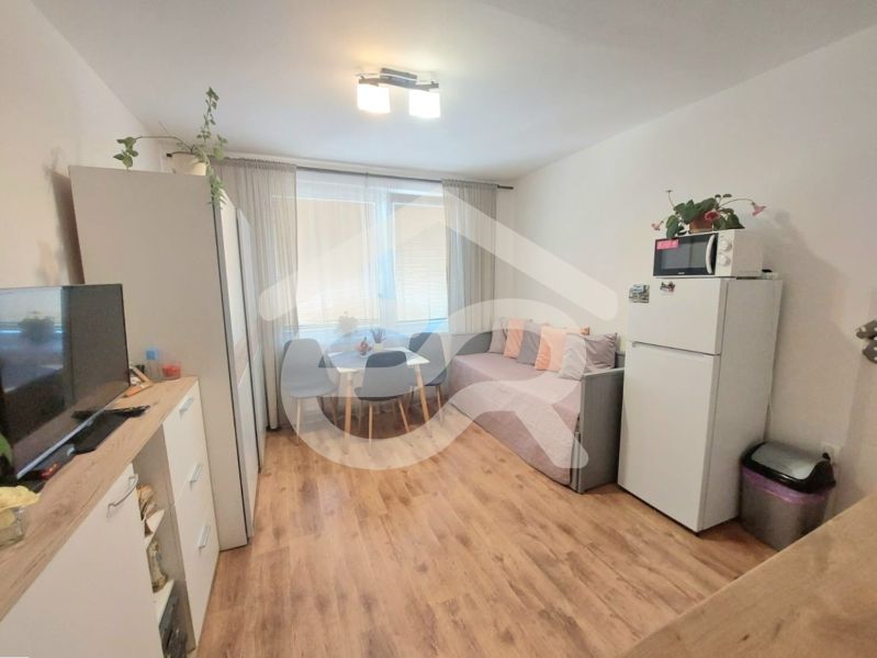 Einzimmerwohnung mit Holzboden, Tisch mit Stühlen und Sofa.