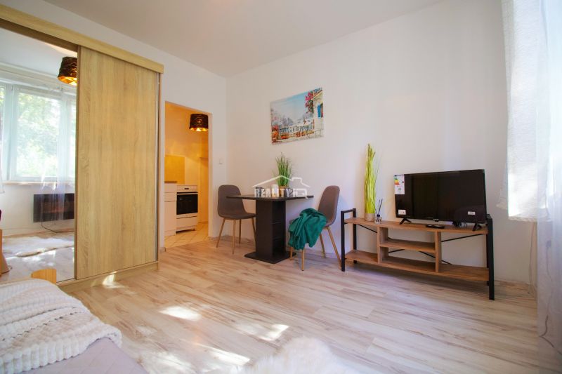 Einzimmerwohnung mit hellem Wohnzimmer, Holzboden und Kochnische.