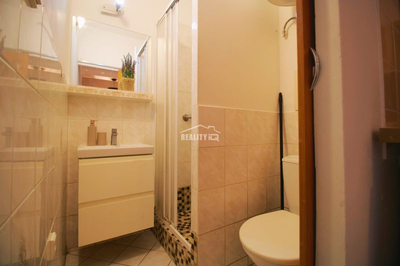 Badezimmer in einem Einzimmerapartment mit Dusche und Waschbecken.