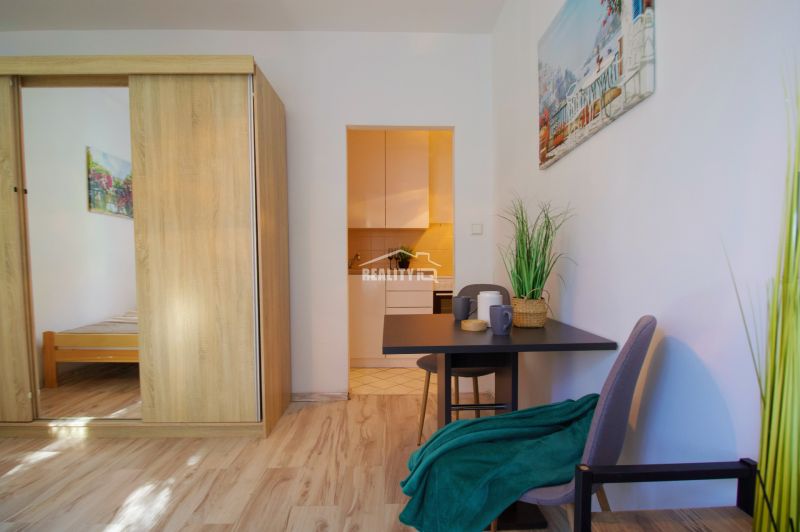 Einzimmerwohnung mit Holzboden, Tisch und Pflanze, gemütliche Einrichtung.