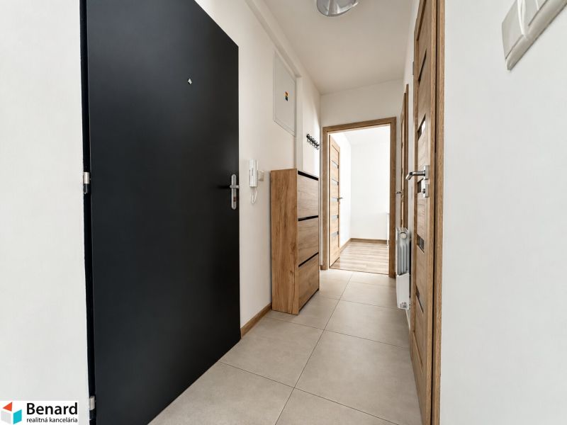 Flur in einer 2-Zimmer-Wohnung mit Boden in Holzoptik, hellen Wänden und schwarzen Türen.