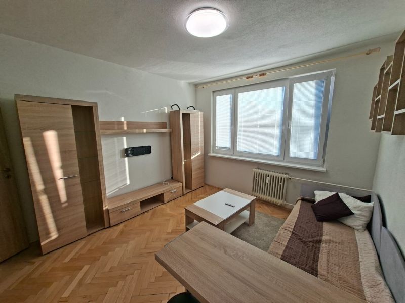 Einzimmerwohnung mit hellen Möbeln, Sofa und Boden in Holzoptik.