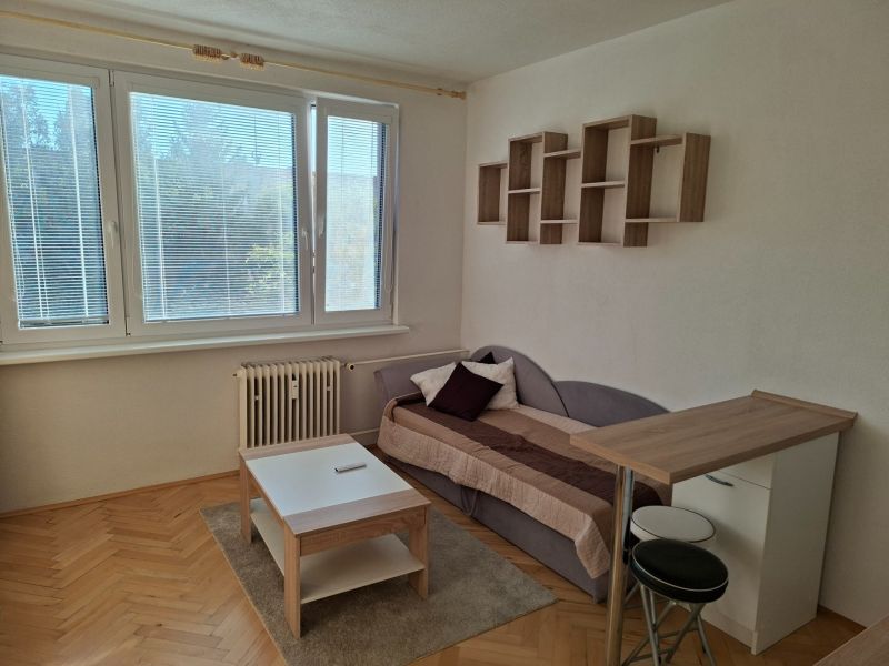 Einzimmerwohnung mit Holzboden, Sofa, Tisch und Hängeregal.