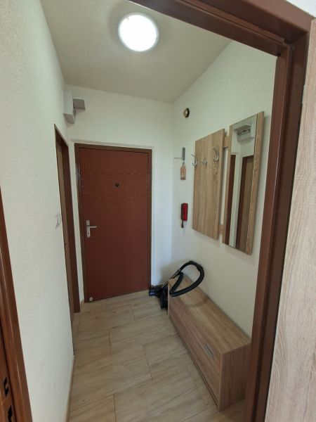 Eingangsflur in einem Studio-Apartment mit einem Schrank und Holzdekor auf dem Boden.