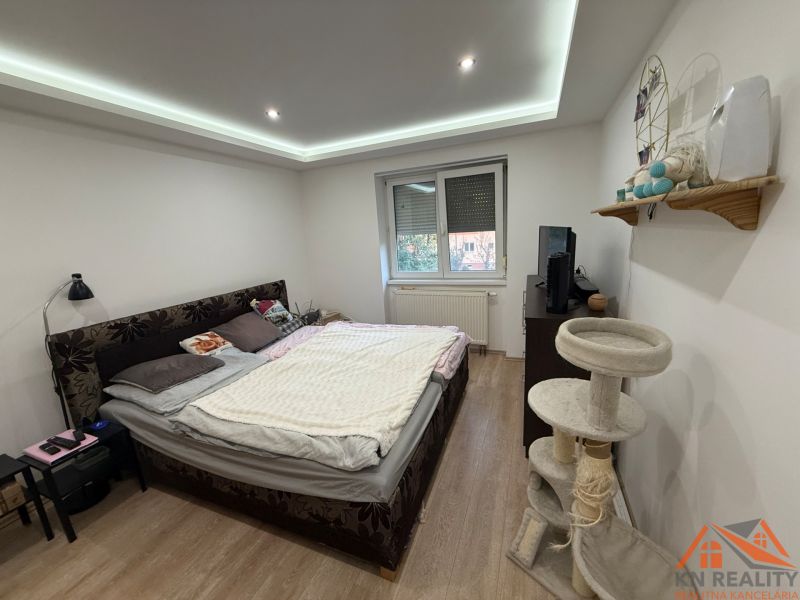Schlafzimmer in einer 2-Zimmer-Wohnung mit Holzboden und einem Katzenkratzbaum.