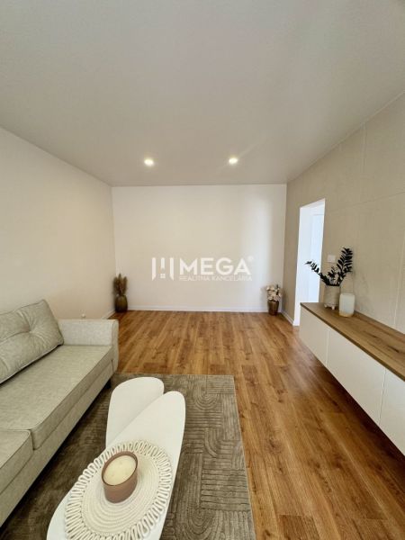 Wohnzimmer in einer Einzimmerwohnung mit Holzboden, Sofa und Dekoration.