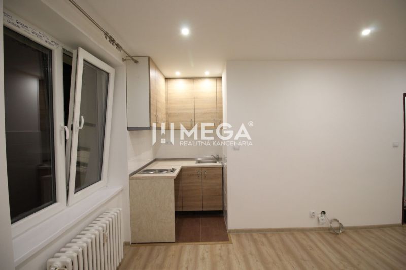 Küche in einer Ferienwohnung mit Küchenzeile und Boden in Holzoptik.