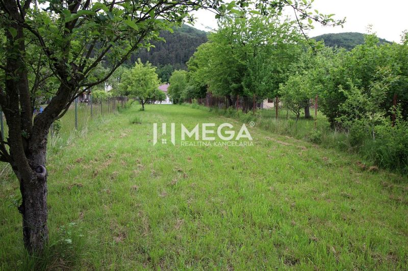 Grünflächen und Obstbäume auf dem Grundstück für Wohnzwecke in Ptičie in der Ptičie-Straße.