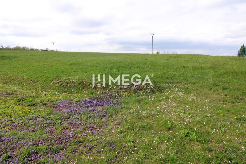 Grundstücke - Wohnen in der Brestovská-Straße in Humenné, grüne Wiese mit Blumen und Stromleitungen.