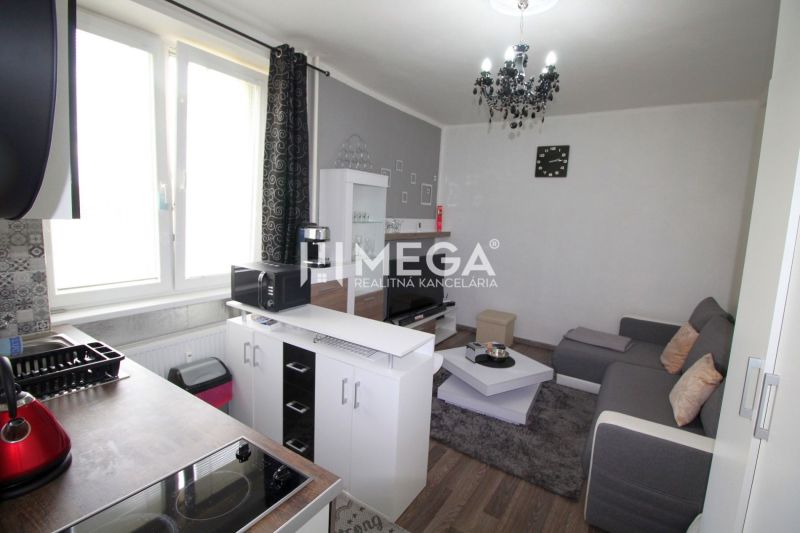 Wohnzimmer mit Küche im Ferienapartment, Boden mit Holzdekor, graues Sofa.