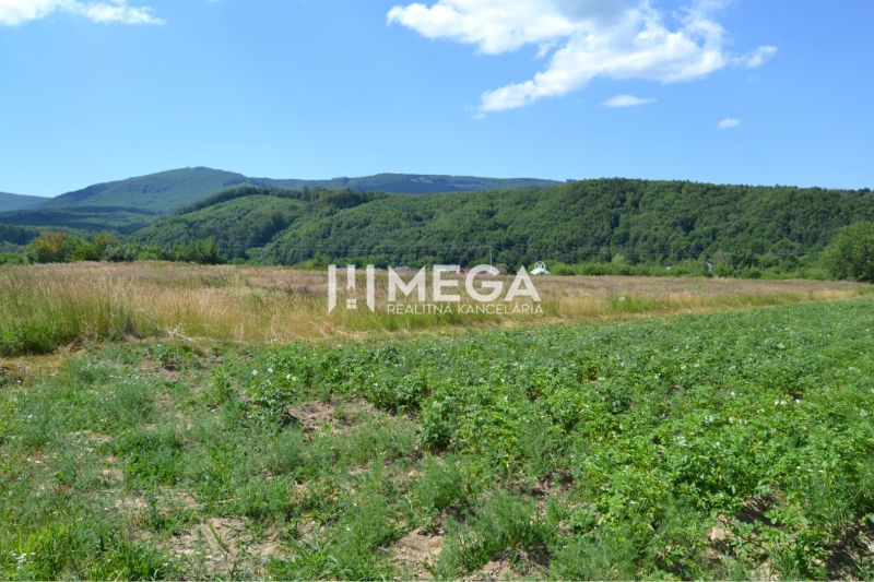Landschaft in Zemplínske Hámre geeignet für Grundstücke - Wohnen, umgeben von grünen Wäldern und Wiesen.