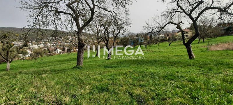 Blick auf eine grüne Wiese mit Bäumen und Aussicht auf Humenné von der Brestovská-Straße.