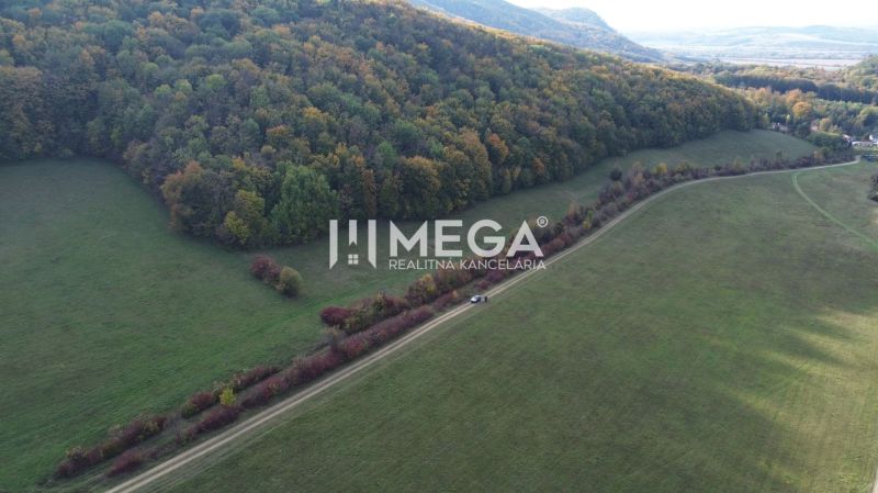 Wiesen und Wälder im Bereich der besonderen Immobilien bei Jasenov im Bezirk Jasenov.