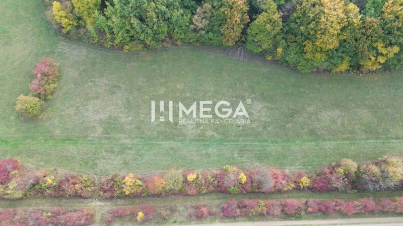 Luftaufnahme von ungewöhnlichen Immobilien in Jasenov, umgeben von Grünflächen und bunter Vegetation.