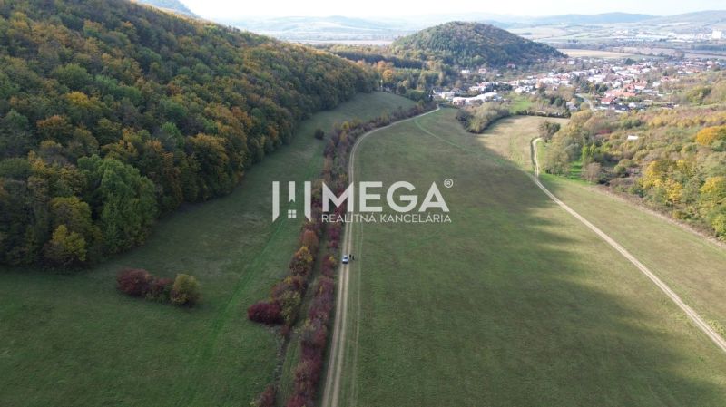 Wiesen und Wälder säumen den Weg, der von Jasenov nach Jasenov führt. Seltsame Immobilien.