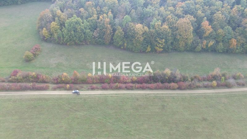 Blick auf die Wiesen und Wälder in Jasenov in der Straße Jasenov, Besondere Immobilien.