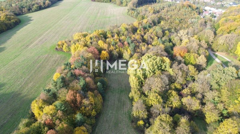 Herbstlandschaft in Jasenov in der Straße Jasenov, umgeben von Wäldern und besonderen Immobilien.