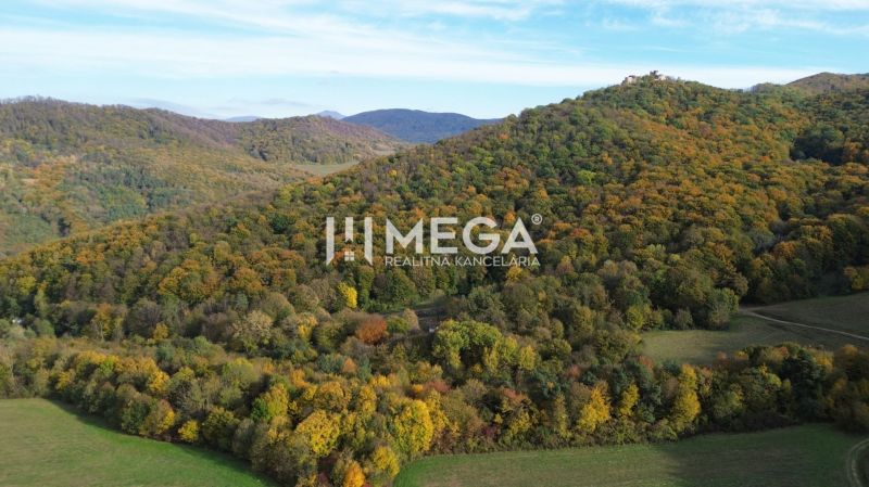 Luftaufnahme der Herbstwälder in der Umgebung von Zvláštne nehnuteľnosti in Jasenov, Jasenov-Straße.