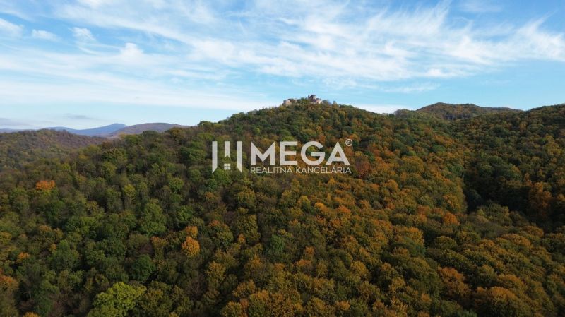 Ein Blick auf die bewaldeten Hügel und die Burgruine in Jasenov bei den Besonderen Immobilien.
