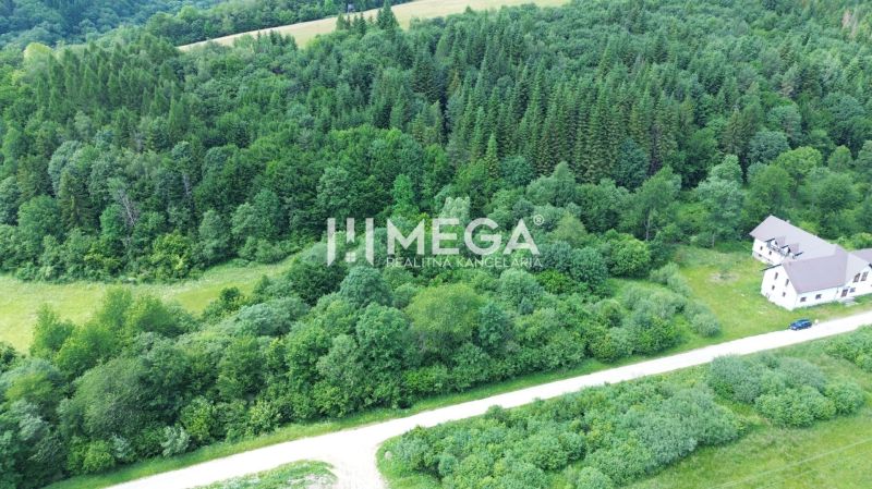 Grundstücke im Wald auf Danová in Medzilaborce, geeignet zum Wohnen, umgeben von Natur.