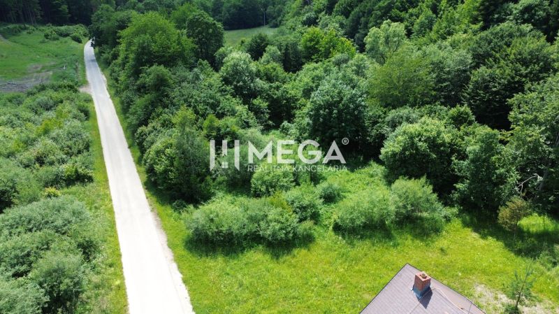 Ein von Grün umgebener Weg führt durch das Wohngebiet in der Danova-Straße in Medzilaborce.