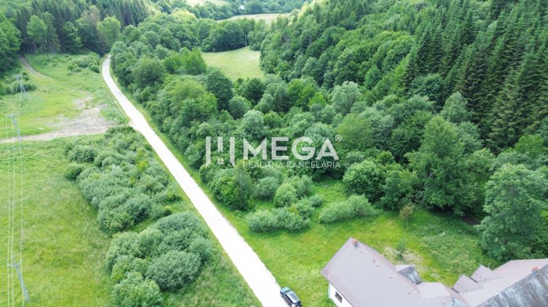 Ein von Grün umgebener Weg in der Danova-Straße in Medzilaborce, Grundstücke - Wohnen.