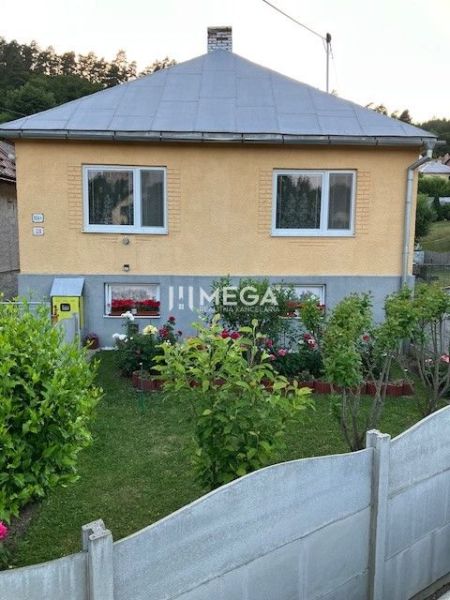 Ein Einfamilienhaus in der Jesenského-Straße in Snina mit einem schön gepflegten Garten und Blumen.
