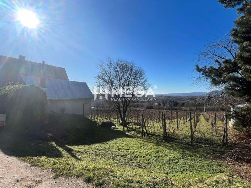 Ein sonniger Tag im Dorf Viničky mit einem Einfamilienhaus und einem Weinberg in der Straße Viničky.